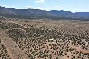 14941 E Painted Hills Circle, Hackberry, AZ 86411 - Photo 45