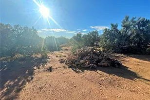 14941 E Painted Hills Circle, Hackberry, AZ 86411 - Photo 35