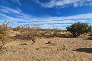 19688 S Diamondback Rd, Yucca, AZ 86438 - Photo 39