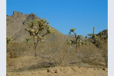 241-18-017 E Bighorn Drive, Yucca, AZ 86438 - Photo 7