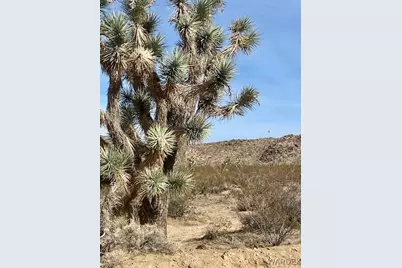 3437 E Cowboy Road, Yucca, AZ 86438 - Photo 5