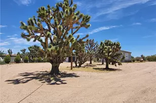 26012 N Peach Ln, Meadview, AZ 86444 - Photo 41