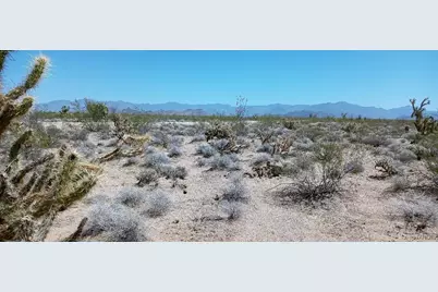242-08-013 W Crystal Springs Drive, Yucca, AZ 86438 - Photo 3