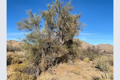 00 Jarvis Way, Hackberry, AZ 86411 - Photo 13