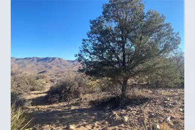 00 Jarvis Way, Hackberry, AZ 86411 - Photo 7