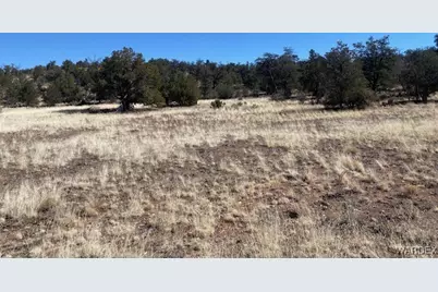 314-47-011 Unknown, Peach Springs, AZ 86434 - Photo 5