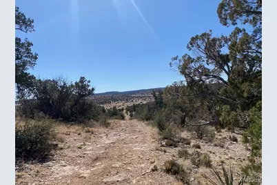 314-47-011 Unknown, Peach Springs, AZ 86434 - Photo 9