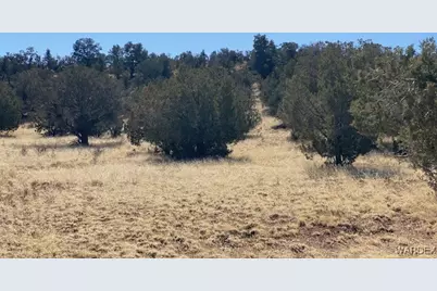 314-47-011 Unknown, Peach Springs, AZ 86434 - Photo 11