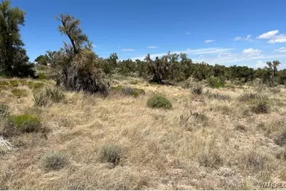 Tbd Lazy Y U, Kingman, AZ 86401 - Photo 7