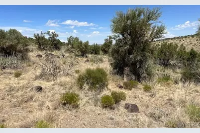 Tbd Lazy Y U, Kingman, AZ 86401 - Photo 9