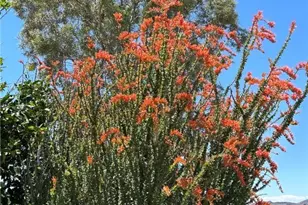 14105 S Cactus Rd, Yucca, AZ 86438 - Photo 43