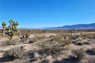 28054 N Sandview Dr, Meadview, AZ 86444 - Photo 1