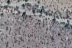 Lot 12 Bridgeport Rd, Golden Valley, AZ 86413 - Photo 1