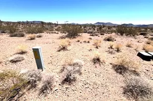 21388 N Spear Blvd, White Hills, AZ 86445 - Photo 1