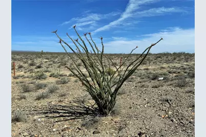 471 W Juniper Drive, Yucca, AZ 86438 - Photo 31