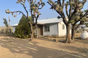 18500 N Pueblo Rd, Dolan Springs, AZ 86441 - Photo 5