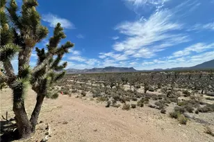 26196 N Tamarisk St, Meadview, AZ 86444 - Photo 37