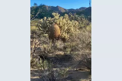 11751 S Carrow Road, Yucca, AZ 86438 - Photo 7