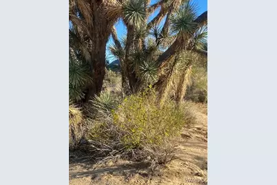 11751 S Carrow Road, Yucca, AZ 86438 - Photo 11