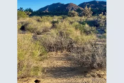 11751 S Carrow Road, Yucca, AZ 86438 - Photo 3