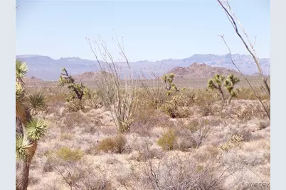 Lot 11 Leisure Road, Yucca, AZ 86438 - Photo 21