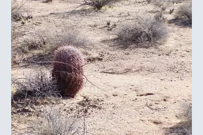 Lot 38 Saguaro Drive, Yucca, AZ 86438 - Photo 21