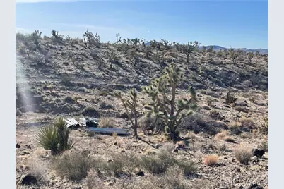 17500 N Needle Drive, Dolan Springs, AZ 86441 - Photo 31