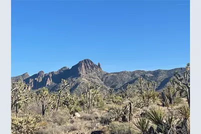 17500 N Needle Drive, Dolan Springs, AZ 86441 - Photo 3