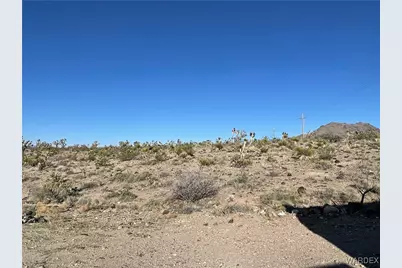 17500 N Needle Drive, Dolan Springs, AZ 86441 - Photo 19