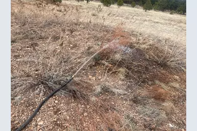 603 N Cool Pines Road, Williams, AZ 86046 - Photo 9