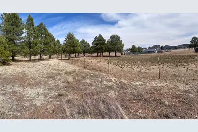 603 N Cool Pines Road, Williams, AZ 86046 - Photo 5