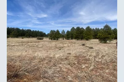 603 N Cool Pines Road, Williams, AZ 86046 - Photo 3