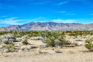 7190 E Red Barrel Rd, Yucca, AZ 86438 - Photo 3