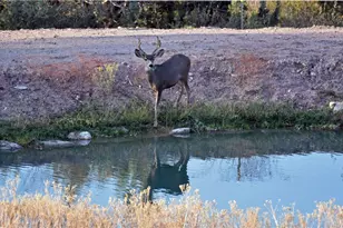 18723 E Knight Crk Rd, Kingman, AZ 86401 - Photo 87