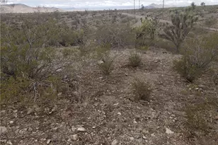 8446 & 8454 W Olema Dr, White Hills, AZ 86445 - Photo 1