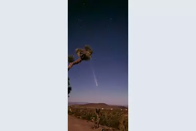 8446 & 8454 W Olema Drive #232 & 233, White Hills, AZ 86445 - Photo 17