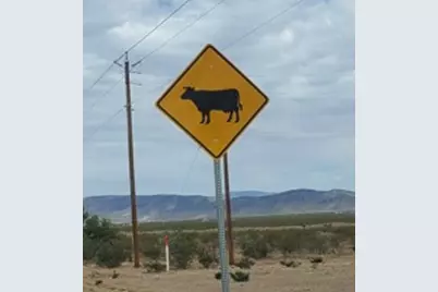 8446 & 8454 W Olema Drive #232 & 233, White Hills, AZ 86445 - Photo 23