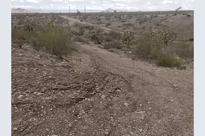 8446 & 8454 W Olema Drive #232 & 233, White Hills, AZ 86445 - Photo 11