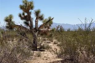 #812 Stagecoach Trail, Yucca, AZ 86438 - Photo 1