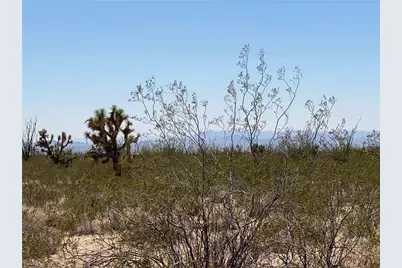 #812 Stagecoach Trail, Yucca, AZ 86438 - Photo 7