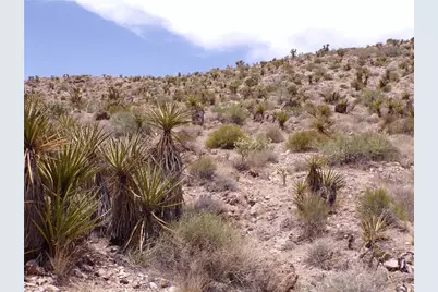 2 Lots N Mt Tipton Drive, Dolan Springs, AZ 86441 - Photo 5