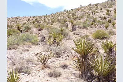 2 Lots N Mt Tipton Drive, Dolan Springs, AZ 86441 - Photo 11