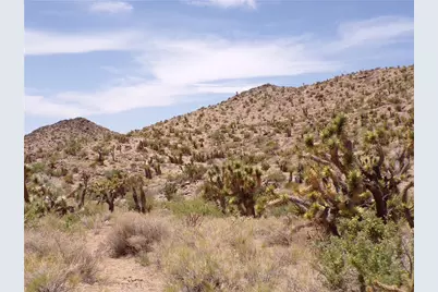 2 Lots N Mt Tipton Drive, Dolan Springs, AZ 86441 - Photo 29