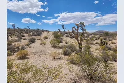 27445 N Driftwood Drive, Meadview, AZ 86444 - Photo 23
