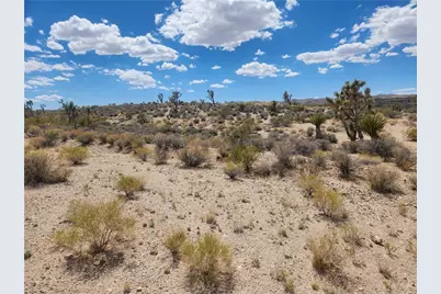 27445 N Driftwood Drive, Meadview, AZ 86444 - Photo 3