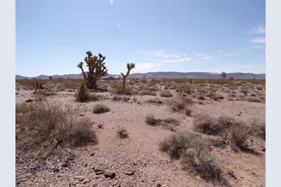 11402 Maverick Drive, White Hills, AZ 86445 - Photo 5