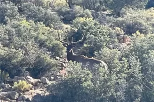 11030 S Quarter Horse Rd, Wikieup, AZ 85360 - Photo 69