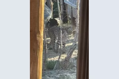 11030 S Quarter Horse Rd, Wikieup, AZ 85360 - Photo 77