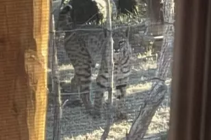 11030 S Quarter Horse Rd, Wikieup, AZ 85360 - Photo 77