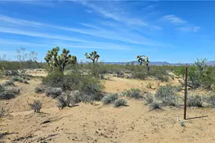 5558 E Red Barrel Rd, Yucca, AZ 86438 - Photo 37